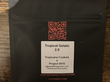 Sell: Tropical Gelato 2.0 from LIT Farms