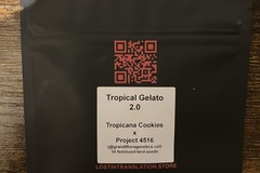 Sell: Tropical Gelato 2.0 from LIT Farms