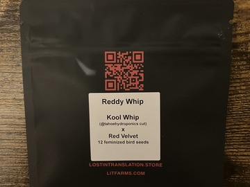Venta: Reddy Whip from LIT Farms