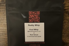Sell: Reddy Whip from LIT Farms