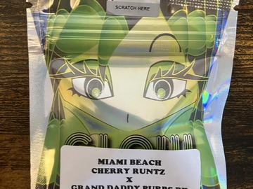 Sell: Miami Beach from Tiki Madman x Glow Seeds
