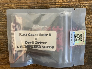 Vente: East Coast Sour D x Devil Driver from Tiki Madman