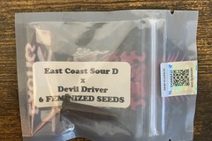 Venta: East Coast Sour D x Devil Driver from Tiki Madman