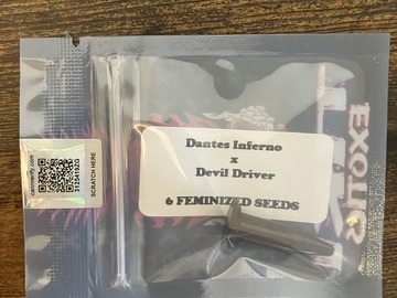 Venta: Dantes Inferno x Devil Driver from Tiki Madman