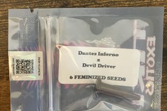 Vente: Dantes Inferno x Devil Driver from Tiki Madman