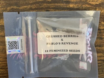 Sell: Crushed Berries x Pablo's Revenge from Tiki Madman