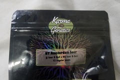 Sell: NY Amsterdam (top dawg sour diesel bx4 x karma sour d bx2)