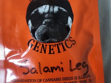 Venta: Thug pug Salami leg