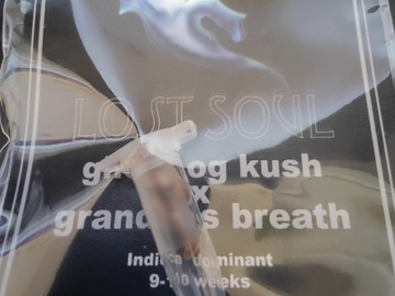 Sell: Dungeons Vault- Lost Soul #164/300- Ghost OG X Grandpa Breath DVG