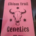 Venta: Chism Trail - Chimera #2 x Blue Cookies FEMS