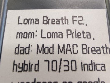 Venta: aSec -Loma Breath F2 #13/24