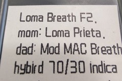 Sell: aSec -Loma Breath F2 #13/24