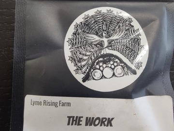 Vente: Lyme Rising - The Work
