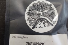 Sell: Lyme Rising - The Work
