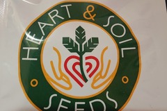 Vente: Heart and Soil Seeds - Ruby Runner