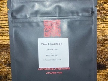Subastas: (Auction) Pink Lemonade from LIT Farms