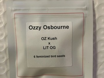 (auction) Ozzy Osbourne from LIT Farms