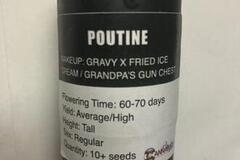 Auction: (AUCTION) Poutine from Cannarado