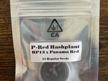 Enchères: (AUCTION) P-Red Hashplant from CSI Humboldt