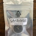 Subastas: (AUCTION) P-Red Hashplant from CSI Humboldt