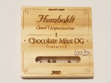 Venta: HSO Chocolate Mint OG 3 fems