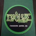 Sell: Evolve - Electric X-Mas - NM Breeder - *MUTANT*