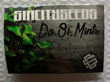 Subastas: (AUCTION) Do Si Mints from Sin City