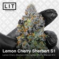 Vente: LEMON CHERRY SHERBERT S1