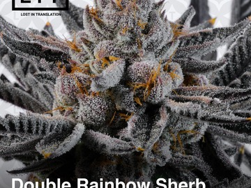 Sell: DOUBLE RAINBOW SHERB