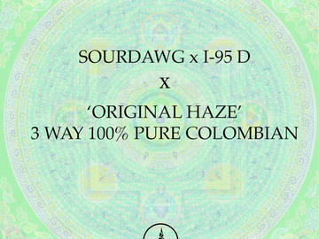 Sell: Sourdawd x I-95 D x  Original Haze 3 Way Colombian