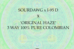 Venta: Sourdawd x I-95 D x  Original Haze 3 Way Colombian