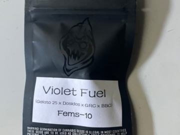 Sell: Square One Genetics- Violet Fuel