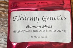 Sell: Alchemy genetics banana Mints
