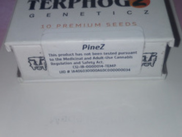 Sell: pineZ - TerpHogZ