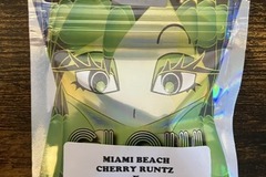 Enchères: (AUCTION) Miami Beach from Tiki Madman x Glow Seeds