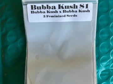 Subastas: (auction) Bubba Kush S1 from CSI Humboldt