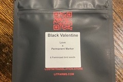 Subastas: (AUCTION) Black Valentine from LIT Farms