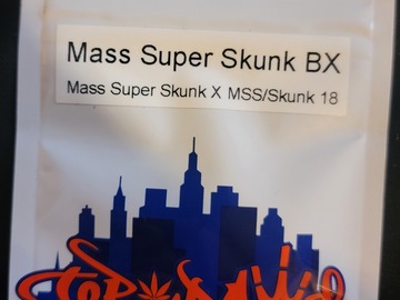 Vente: Mass Super Skunk bx Top Dawg