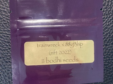 Venta: Trainwreck x 88G13HP - Bodhi Seeds