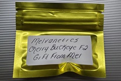 Sell: Cherry Buckeye F2 *Melvanetics