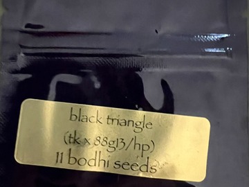 Venta: Bodhi Seeds - Black Triangle