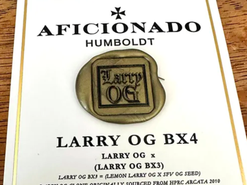 Sell: Larry OG BX4 from Aficionado