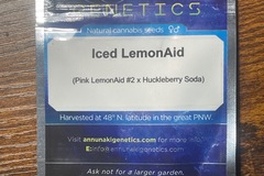 Vente: Annunaki pink Lemonaid 2 x Huckleberry Soda