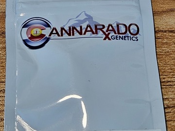 Sell: Cannarado Genetics Sherbnando Feminized