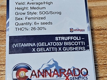 Sell: Cannarado Genetics Struffoli Feminized