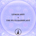 Vente: Lemon Shiv (Capulator) x THE PUCK Hashplant