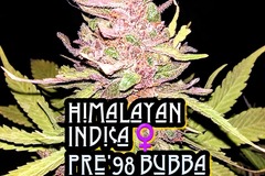 Venta: ☀️ Himalayan Indi¢a x Pre'98 BubbaKush Bx3