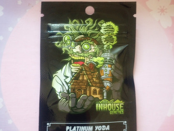 Vente: Platinum Yoda - Inhouse Genetics