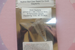 Vente: Gold Daytons - Nuthin' But Gas Seed Co.