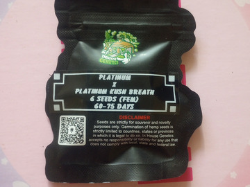 Venta: Platinum X Platinum Kush Breath - Inhouse Genetics
